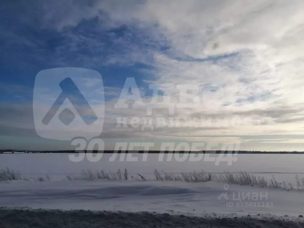 Участок в Тюменская область, Тюменский район, Новокаменский кп ул. ... - Фото 2