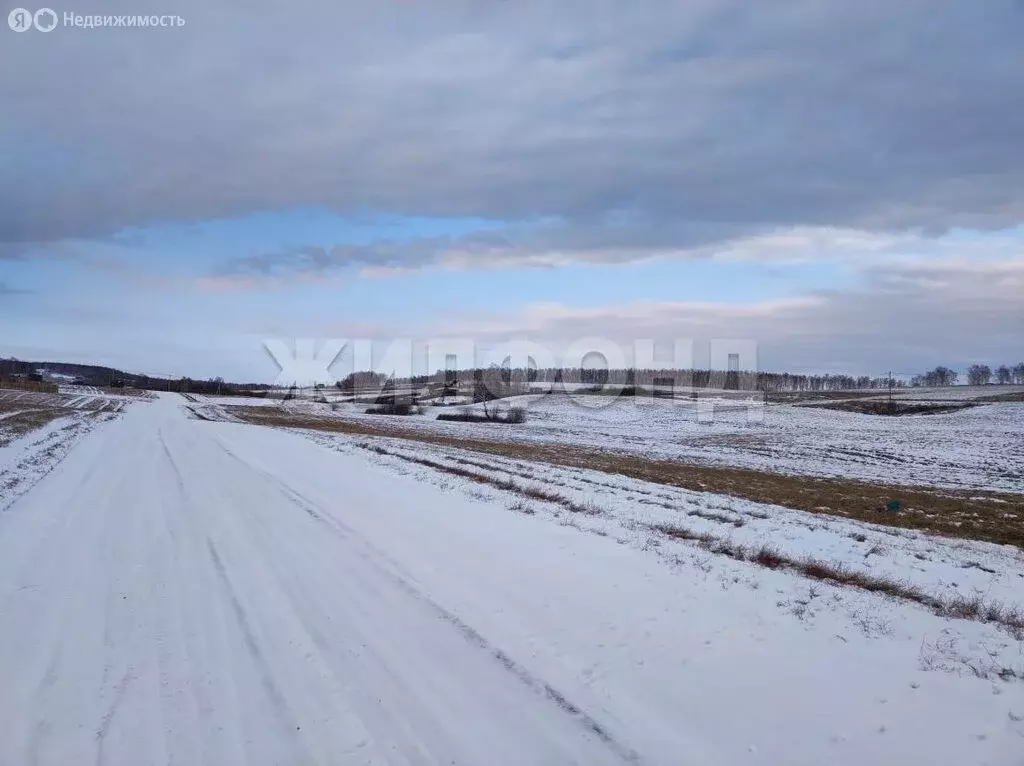 Участок в село Дрокино, Рябиновая улица (10 м) - Фото 1