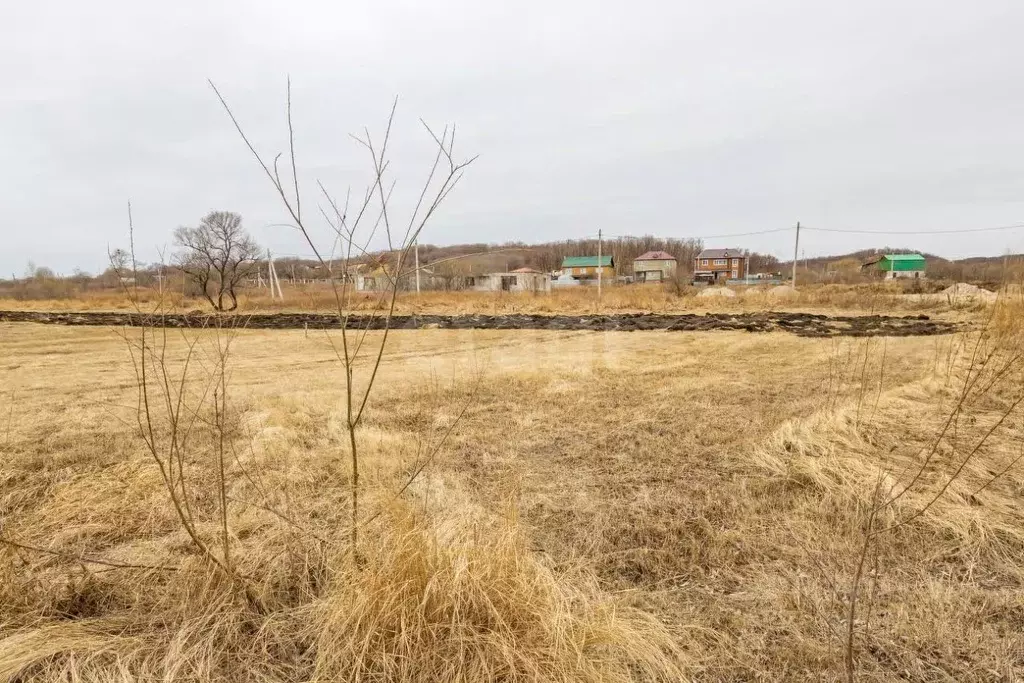 Участок в Амурская область, Благовещенск городской округ, с. Садовое  ... - Фото 0