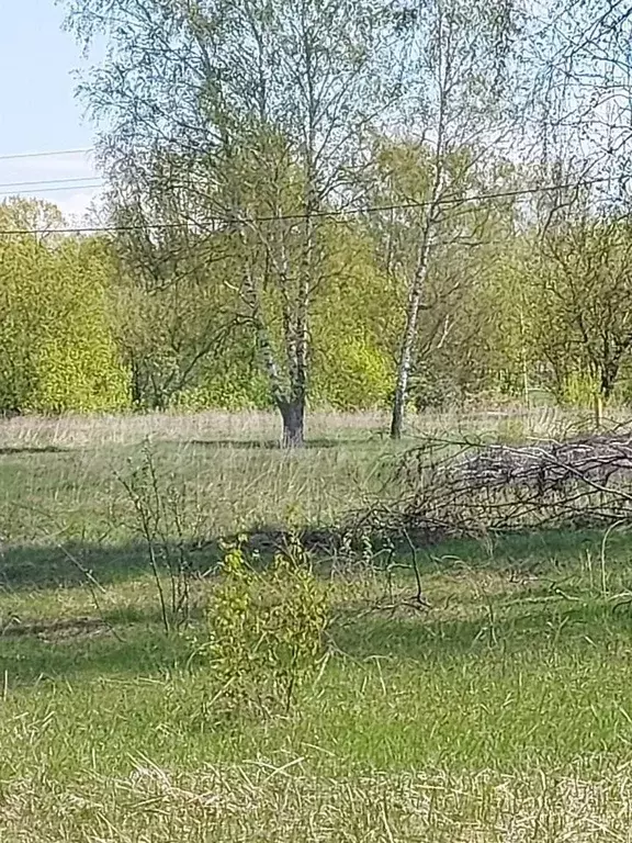 Участок 8 сот. (ИЖС) - Фото 1