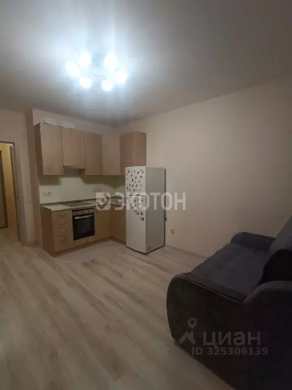 Студия Санкт-Петербург пос. Шушары, просп. Старорусский, 13к1 (20.8 м) - Фото 2