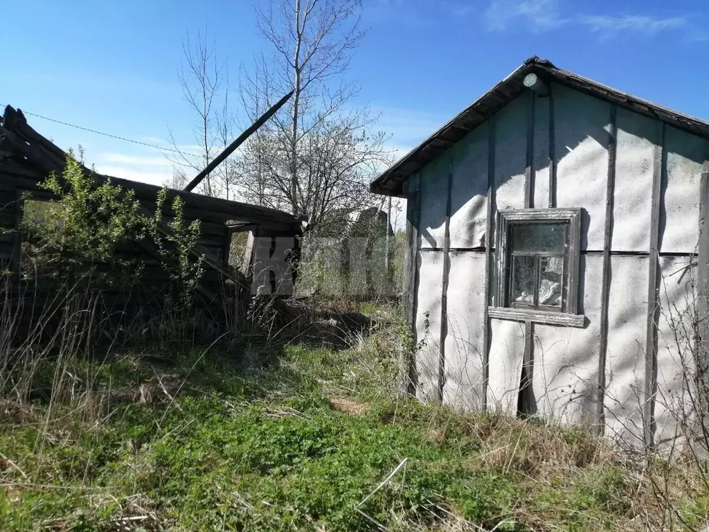 Участок в Вологодская область, Сокольский муниципальный округ, д. ... - Фото 1