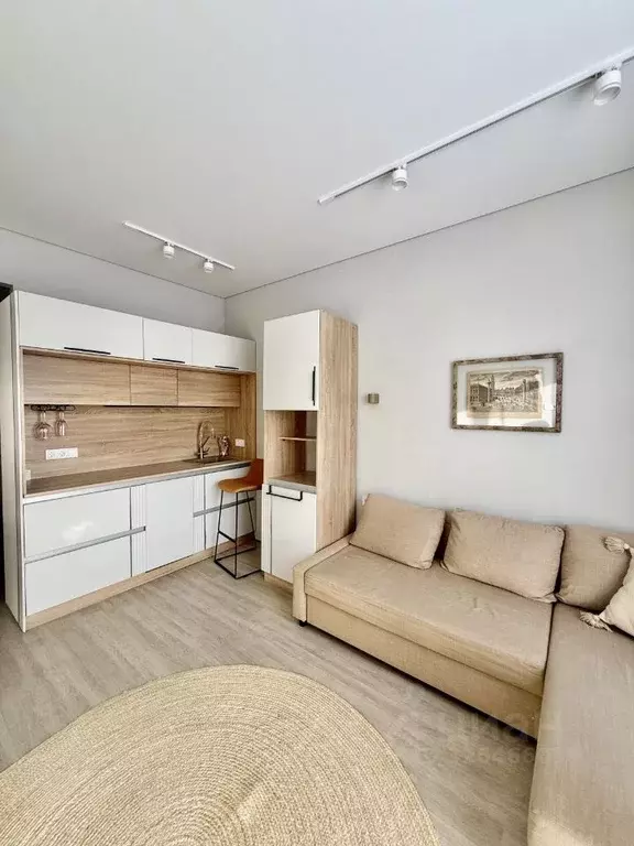 Студия Москва Дубининская ул., 59Бк9 (24.0 м) - Фото 2