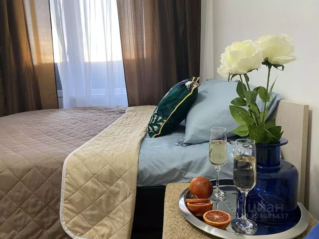 1-к кв. Ленинградская область, Гатчина ул. Чехова, 43к1 (42.0 м) - Фото 2