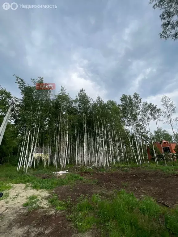 Участок в Рязанский район, Заборьевское сельское поселение, село ... - Фото 0