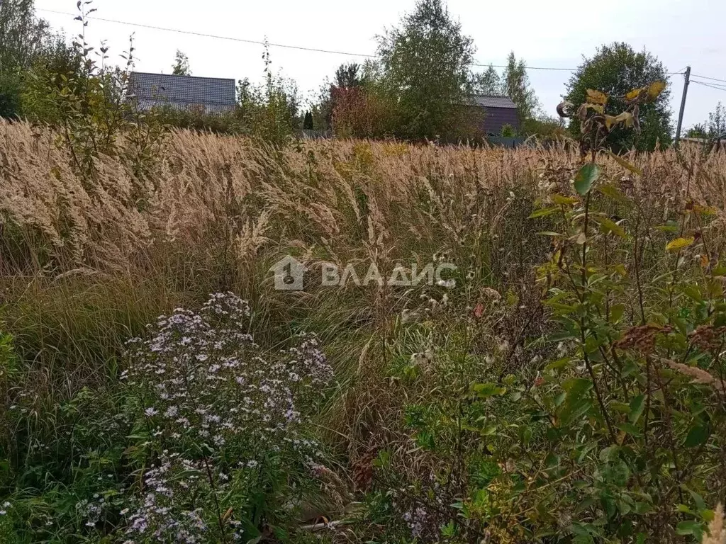 Участок в Московская область, Раменский муниципальный округ, с. ... - Фото 1