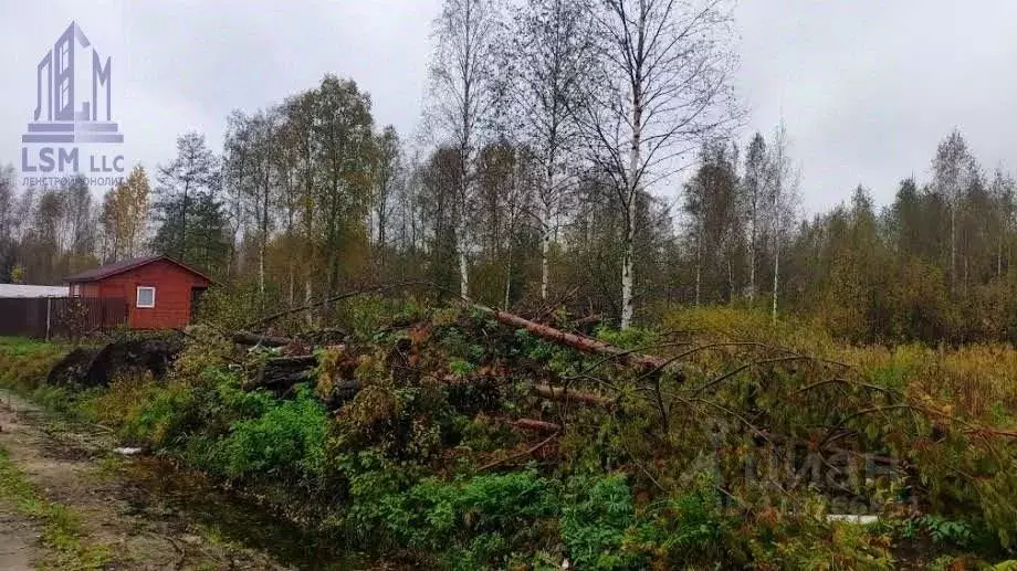 Участок в Ленинградская область, Всеволожский район, Колтушское ... - Фото 1