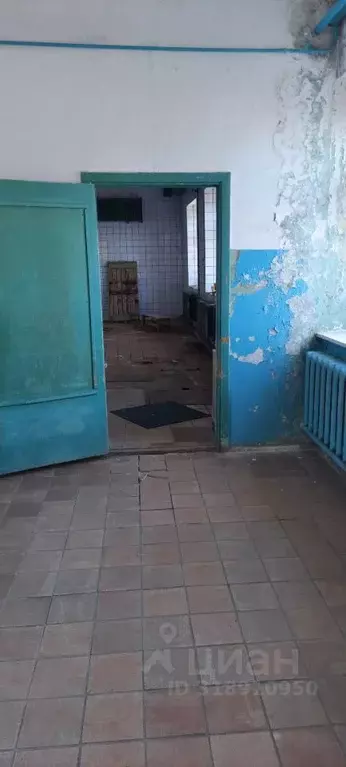 Помещение свободного назначения в Архангельская область, Архангельск ... - Фото 1
