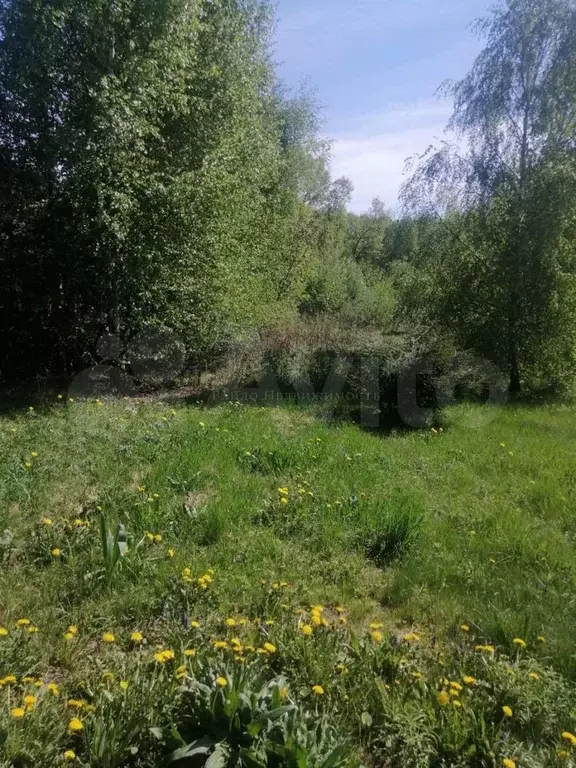 Участок 16,5сот. (ИЖС) - Фото 1