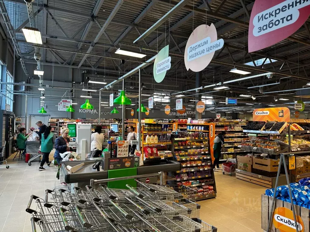 Помещение свободного назначения в Ленинградская область, Всеволожский ... - Фото 1