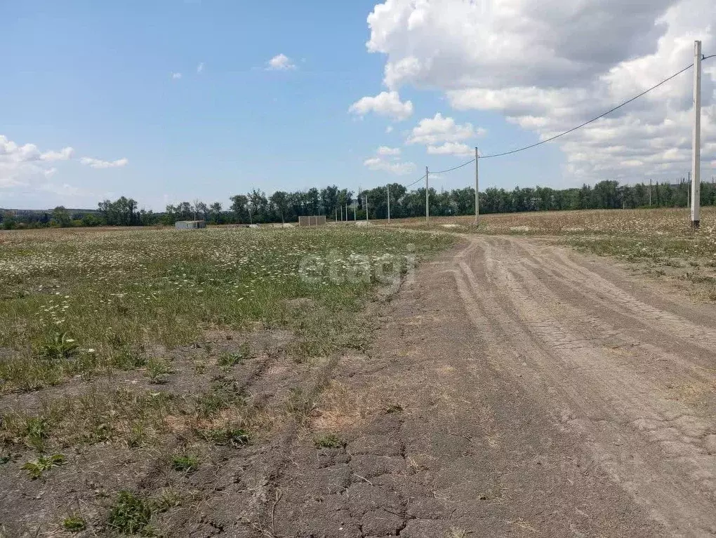 Участок в Краснодарский край, Новороссийск городской округ, ... - Фото 1