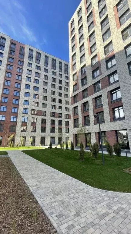 Студия Санкт-Петербург Партизанская ул., 5 (22.6 м) - Фото 2