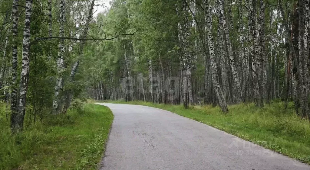 Участок в Нижегородская область, Чкаловск муниципальный округ, д. ... - Фото 2