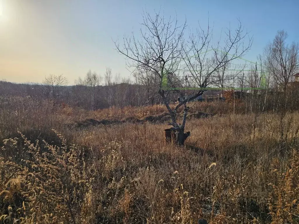 Участок в Приморский край, Артем Меркурий СНТ,  (10.0 сот.) - Фото 2