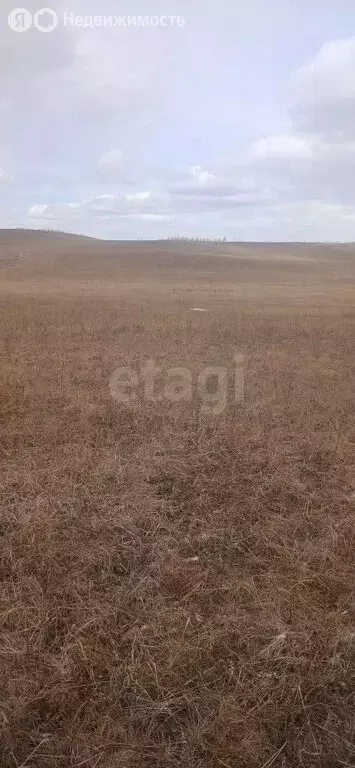 Участок в Забайкальский край, Чернышевский муниципальный округ, село ... - Фото 2