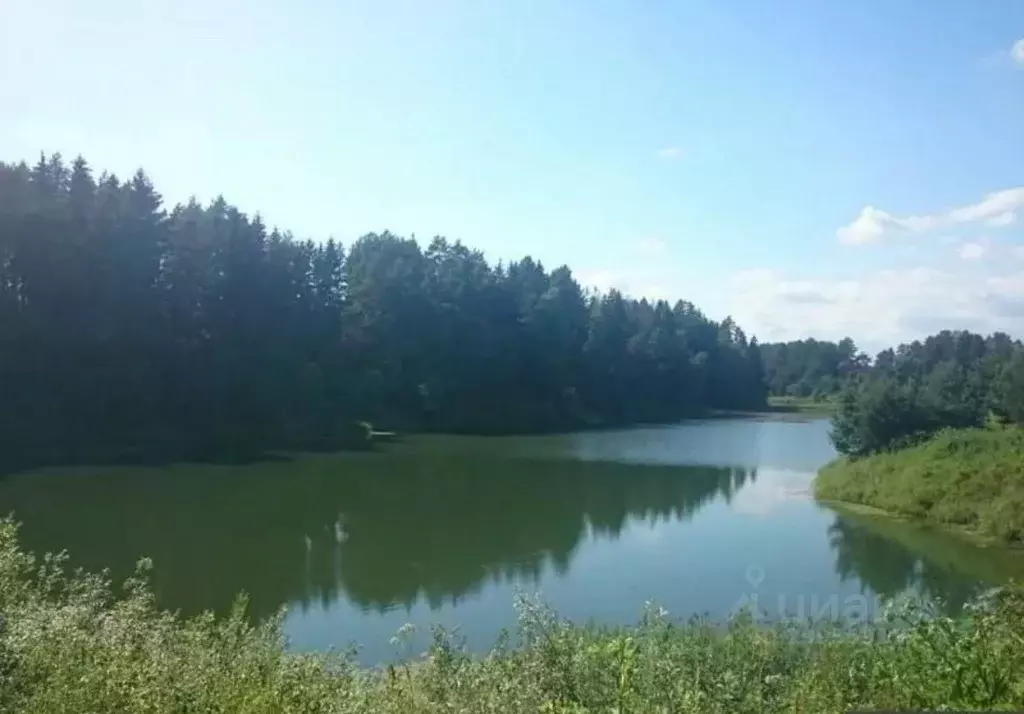Участок в Калужская область, Боровский муниципальный округ, д. ... - Фото 2