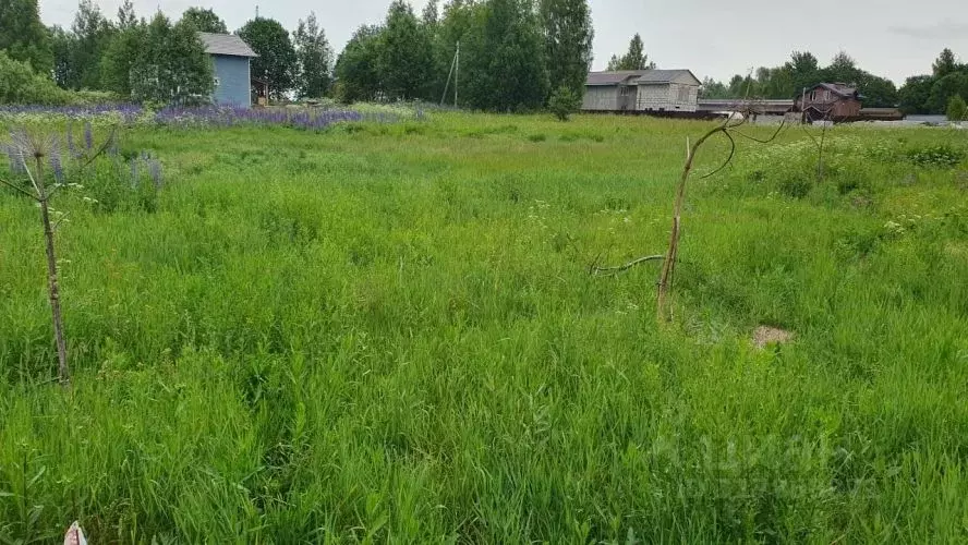 Участок в Московская область, Клин  (11.0 сот.) - Фото 0