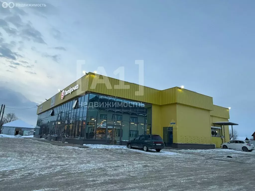 Помещение свободного назначения (350 м) - Фото 2