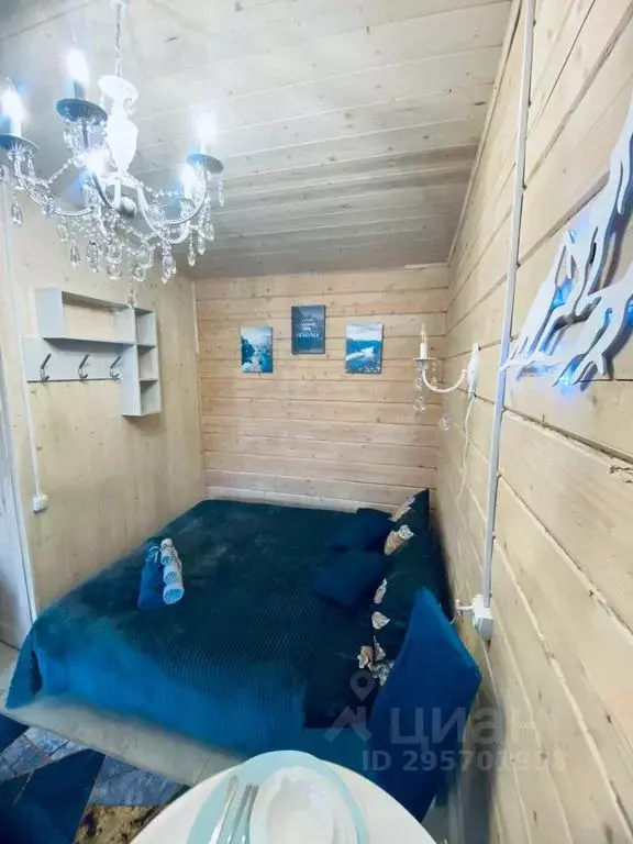 1-к кв. Алтай, Майминский район, с. Манжерок Ленинская ул., 22А (16.0 ... - Фото 0