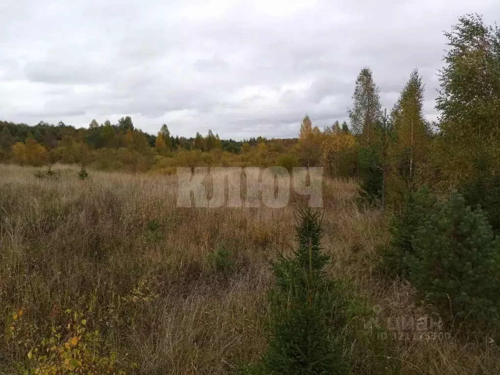 Участок в Вологодская область, Усть-Кубинский муниципальный округ, с. ... - Фото 0