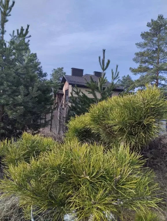 Участок в Воронежская область, Воронеж ул. Генерала Халютина, 15 (8.0 ... - Фото 2