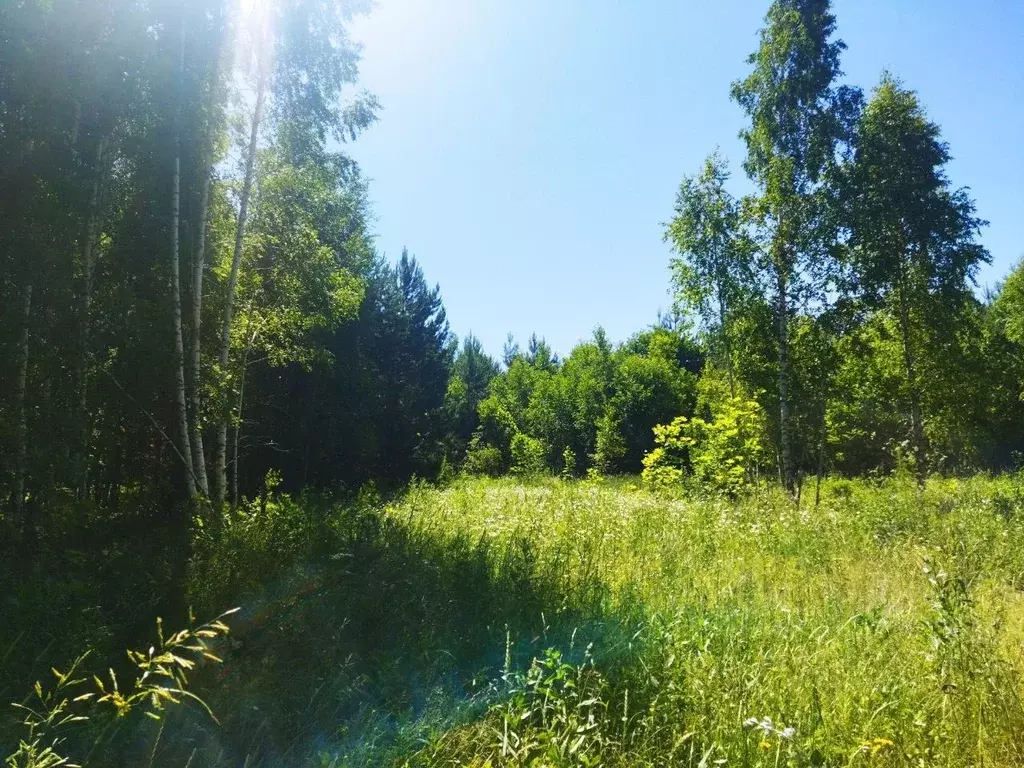 Участок в Тульская область, Ясногорский район, д. Белугино  (15.0 ... - Фото 0