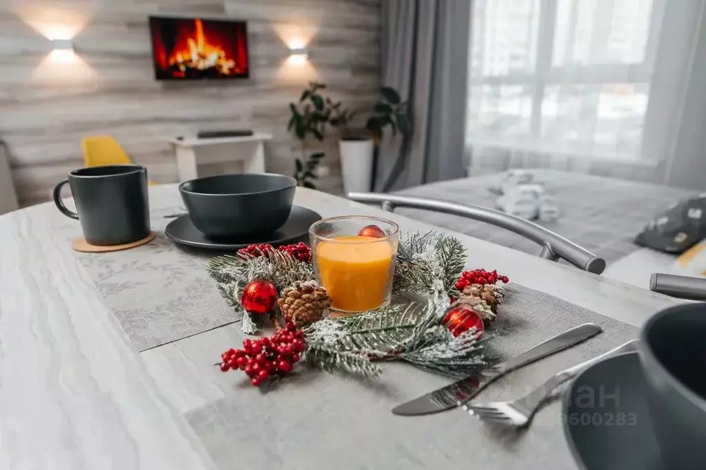 Студия Алтайский край, Бийск Согренная ул., 21 (24.0 м) - Фото 1