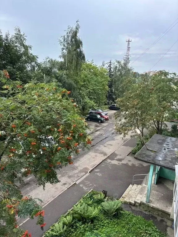 3-к кв. Московская область, Клин Волоколамское ш., 3 (68.0 м) - Фото 1