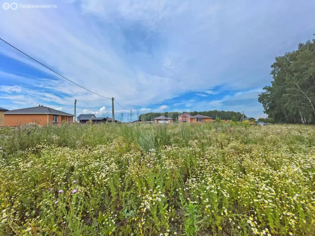 Участок в Пушкино, улица 30 лет Победы (9.75 м) - Фото 1