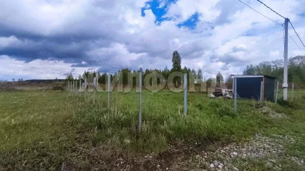 Участок в Новосибирская область, Новосибирский район, Кубовинский ... - Фото 1