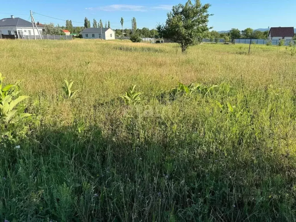 Участок в Краснодарский край, Новороссийск городской округ, ... - Фото 0