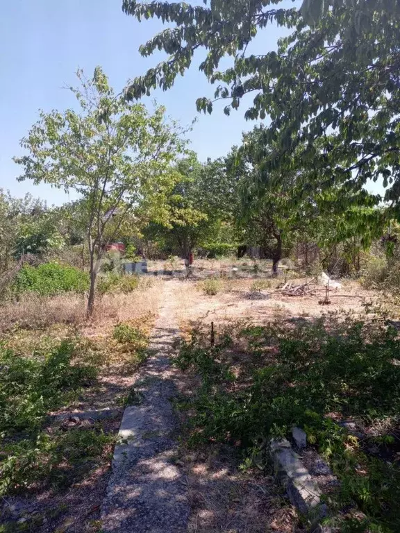 Участок в Севастополь Бутон ТСН,  (6.0 сот.) - Фото 2