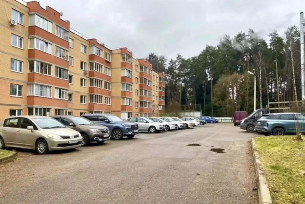 1-к кв. Московская область, Пушкинский городской округ, Зеленоградский ... - Фото 2