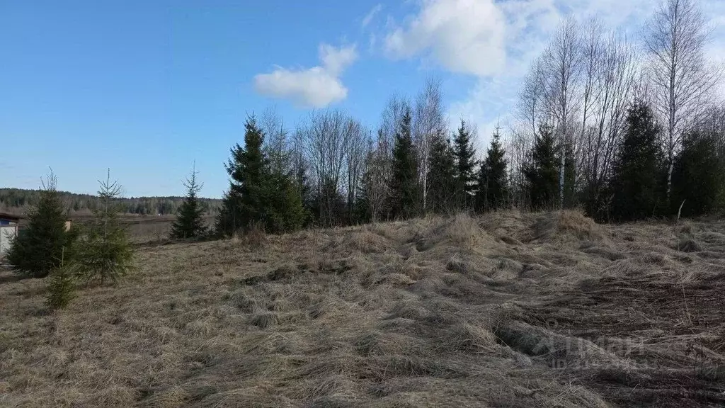 Участок в Московская область, Сергиево-Посадский городской округ, д. ... - Фото 0
