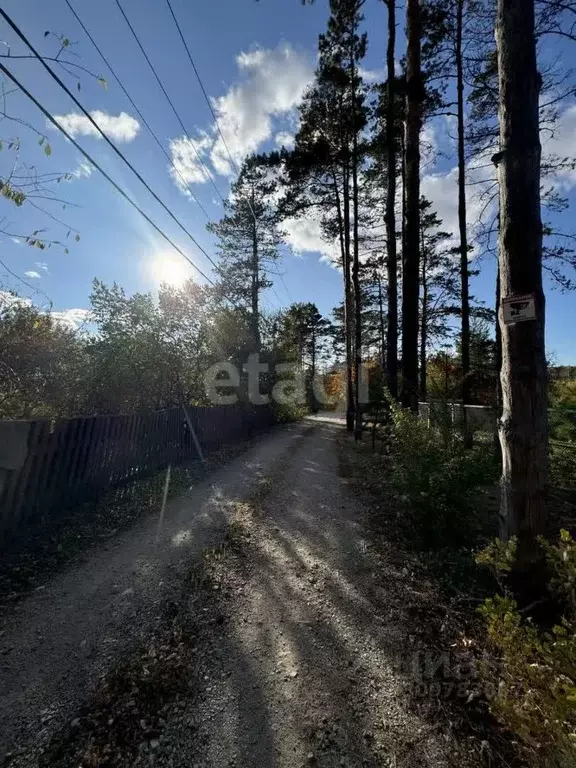 Участок в Амурская область, Благовещенск Сосновый Бор СТ,  (7.1 сот.) - Фото 0