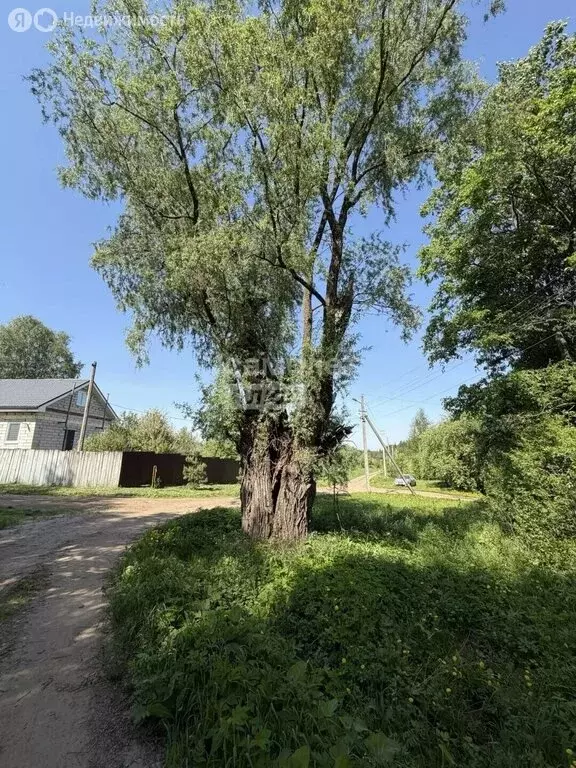 Участок в деревня Болгуры, Ключевой переулок (12.5 м) - Фото 2