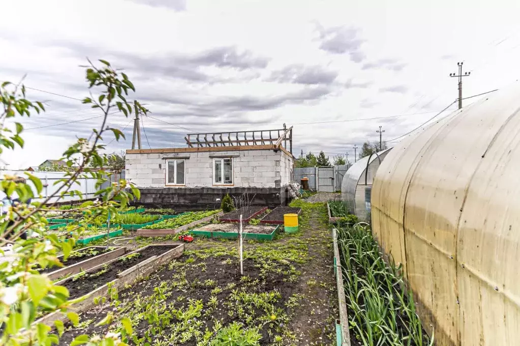 Дом в Новосибирская область, Бердск Отрадное СНТ, ул. 4-я, 1 (50 м) - Фото 1