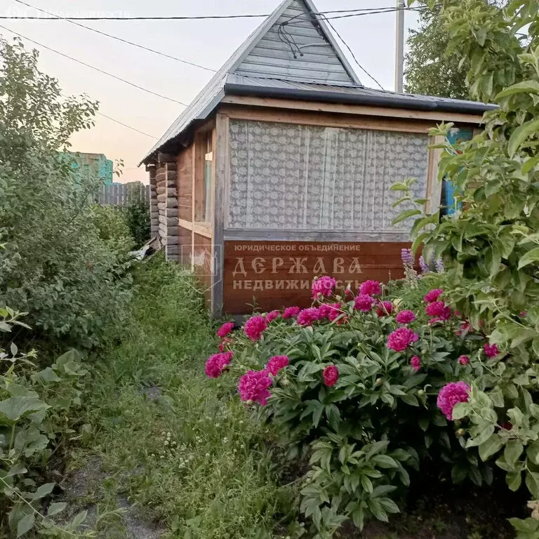 Дом в Кемерово, СНТ Мичуринец, 239 (20 м) - Фото 1