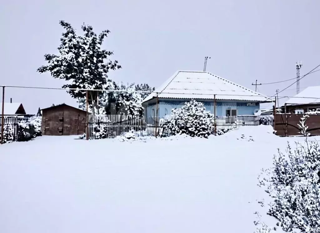 Дом в Новосибирская область, Черепаново ул. Шолохова (57 м) - Фото 1