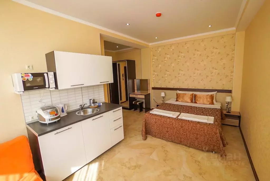 1-к кв. Краснодарский край, Сириус пгт ул. Цветочная, 17/5 (25.0 м) - Фото 1
