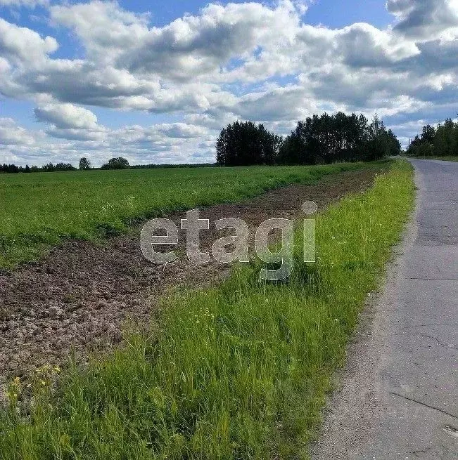 Участок в Вологодская область, пос. Непотягово, д. Кудрино ул. ... - Фото 1