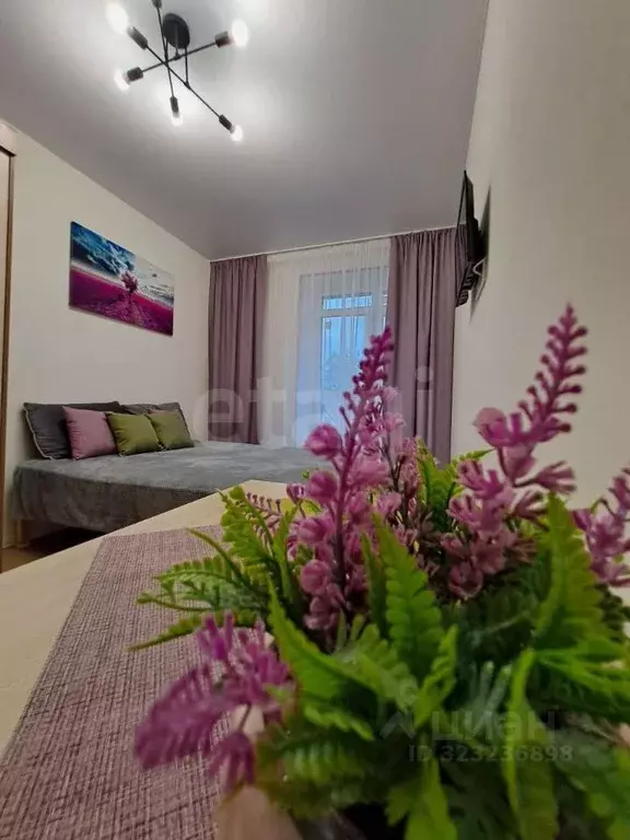 1-к кв. Вологодская область, Вологда ул. Чернышевского, 84Б (36.0 м) - Фото 1