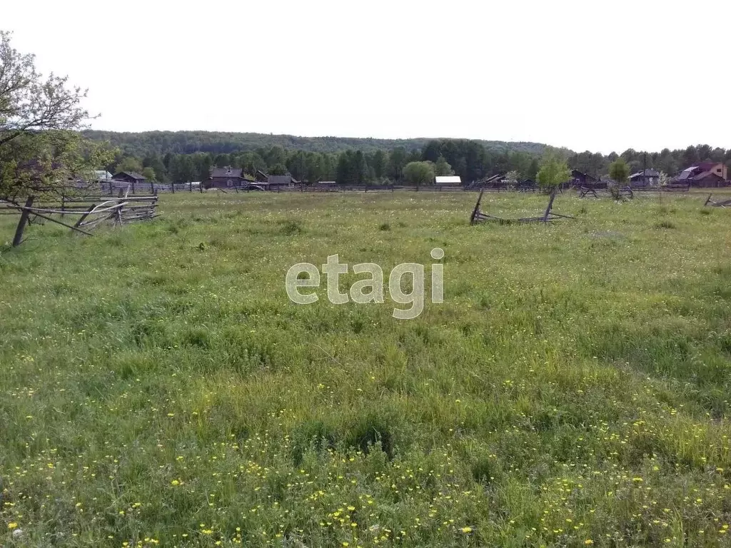 Дом в Бурятия, Кабанский район, с. Заречье Садовая ул. (38 м) - Фото 1