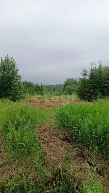 Участок в Пермский край, Пермский муниципальный округ, д. Малая ... - Фото 1