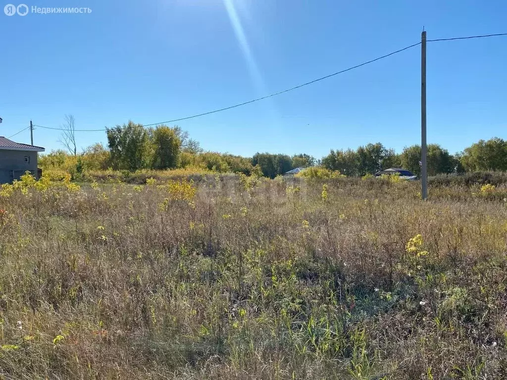 Участок в село Ребровка, ДНП Ребровка-2 (12.03 м) - Фото 2