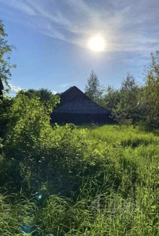 Участок в Рязанская область, Путятинский муниципальный округ, с. ... - Фото 1