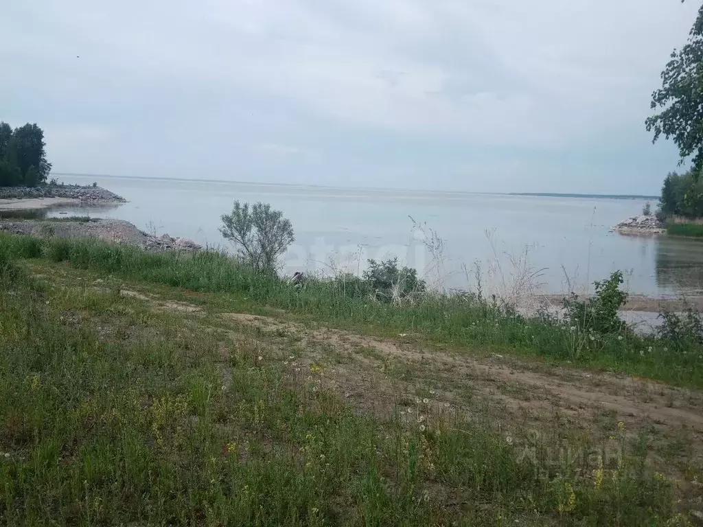 Участок в Новосибирская область, Искитимский район, Совхозный ... - Фото 1