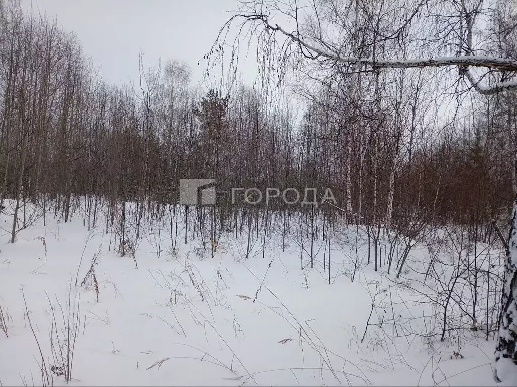 Участок в Иркутская область, Братск Гидростроитель жилрайон, ул. ... - Фото 1