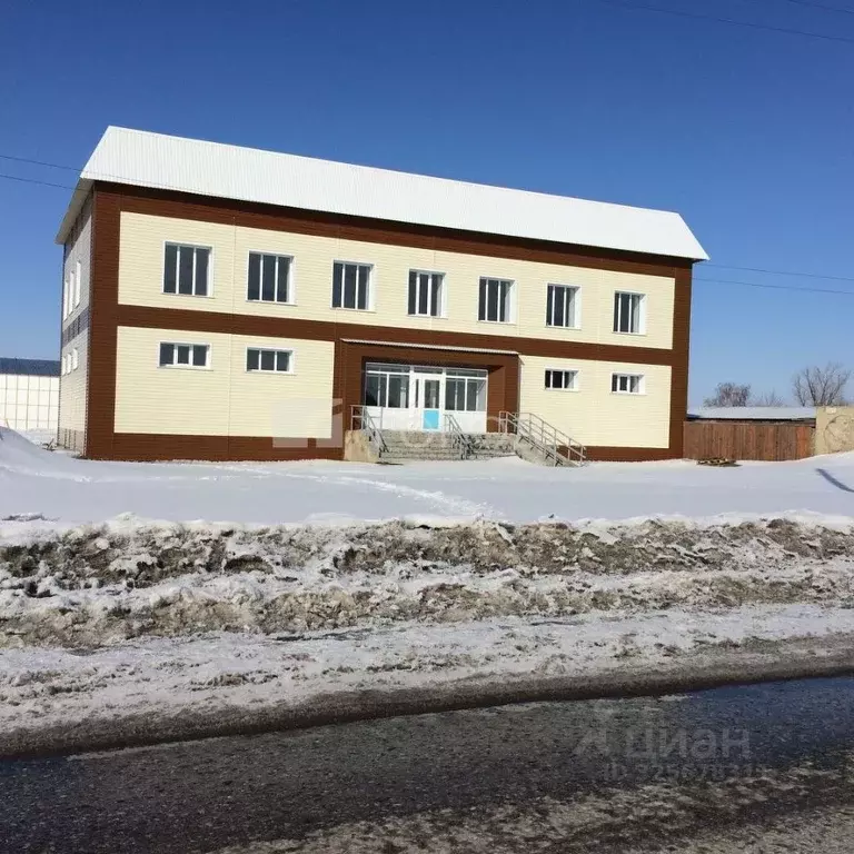 Помещение свободного назначения в Алтайский край, с. Михайловское ул. ... - Фото 1