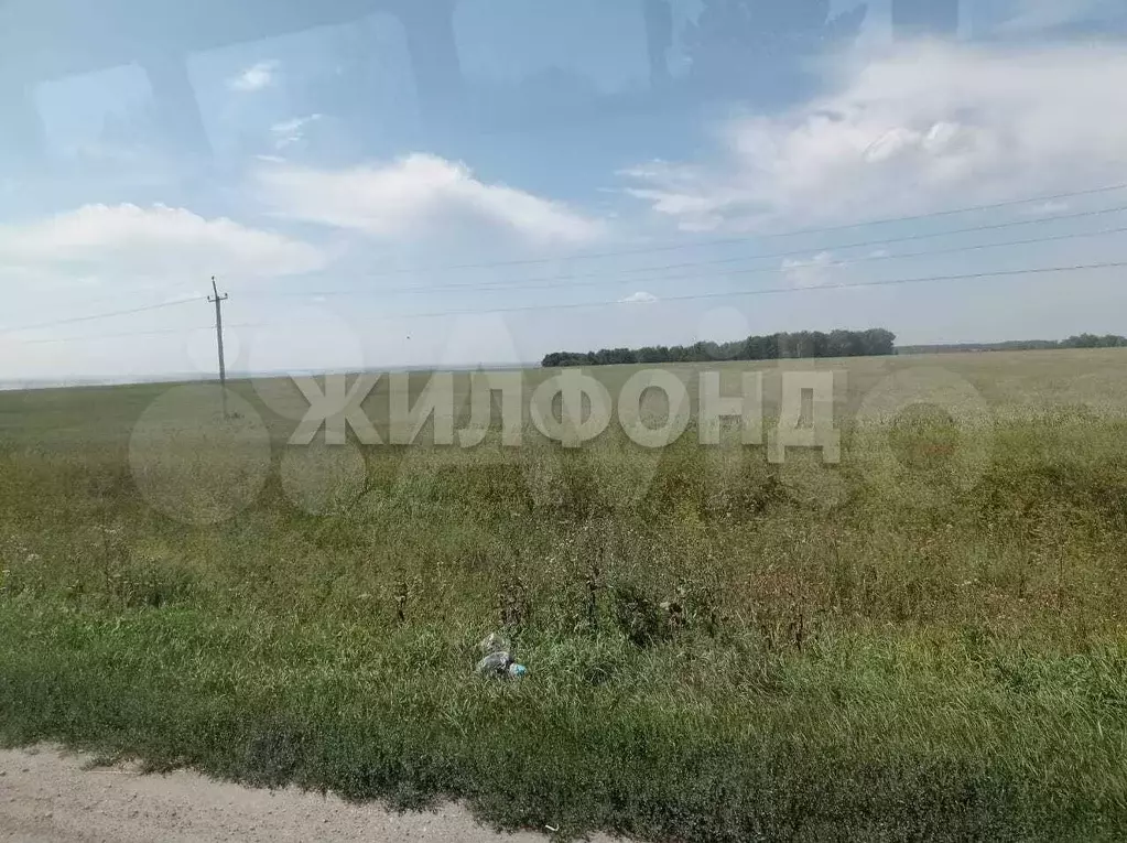 Участок 11 сот. (СНТ, ДНП) - Фото 1